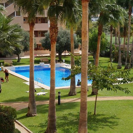 Apartamento Alcoy Альбир Экстерьер фото